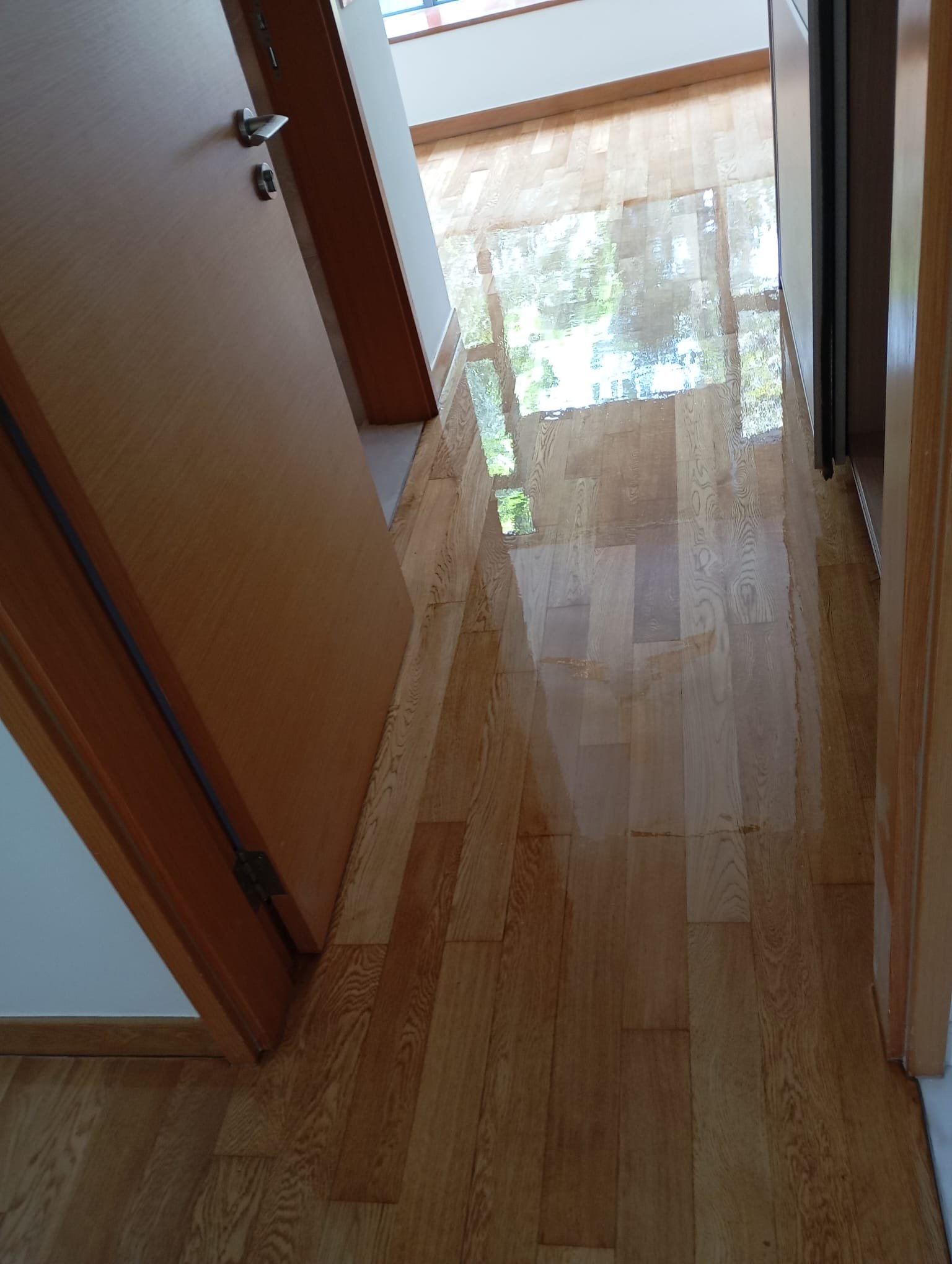 Parquet Floor Polishing