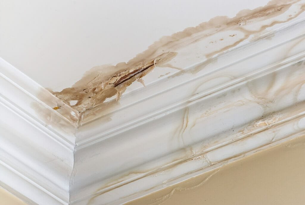 Basement waterproofing services in Singapore